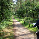 2508G 26 Aller Radweg